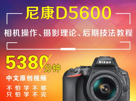 尼康D5600相机操作、摄影理论、后期技法教程