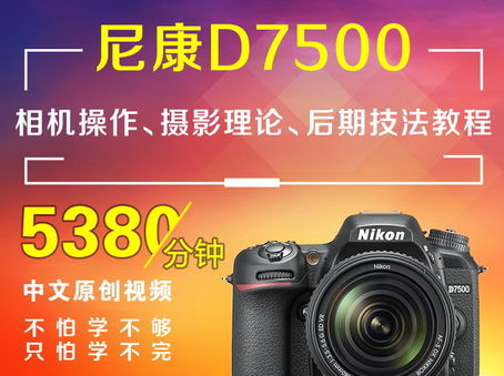 尼康D7500相机操作、摄影理论、后期技法教程